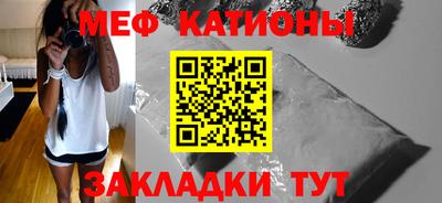 шишки Обь