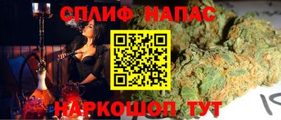 шишки Обь