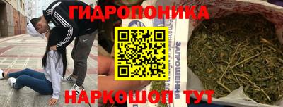 шишки Обь