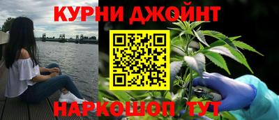 шишки Обь