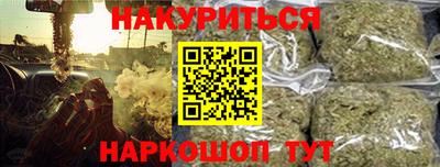 шишки Обь