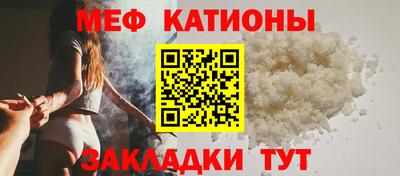 шишки Обь