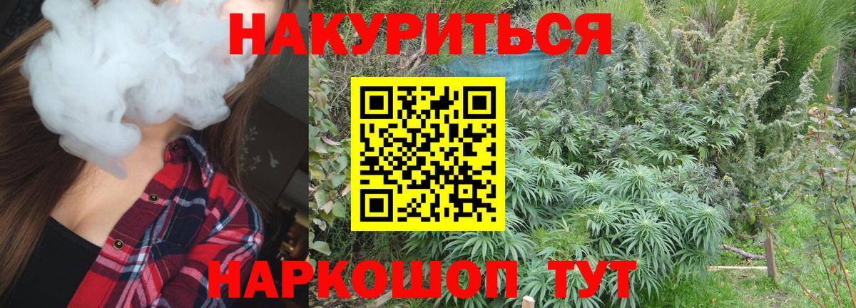 Конопля ГИДРОПОН Рязань